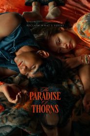 วิมานหนาม The Paradise of Thorns (2024) เมื่อความรักไร้สิทธิ์ กลายเป็นสงครามแห่งการทวงคืน