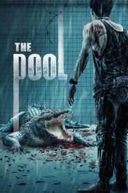 นรก 6 เมตร The Pool (2018) เมื่อน้ำไม่ลึก แต่ความตายอยู่ในทุกลมหายใจ และหนีไม่ได้แม้แต่จากตัวเอง