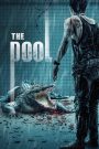 นรก 6 เมตร The Pool (2018) เมื่อน้ำไม่ลึก แต่ความตายอยู่ในทุกลมหายใจ และหนีไม่ได้แม้แต่จากตัวเอง